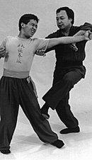 Mastering Wing Chun Kung-Fu 108 Mok Yan Jong Form
